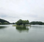 스크린에 안기고 선율에 취하는 ‘청풍명월’[조현석 기자의 투어노트] | 서울신문 스크린에 안기고 선율에 취하는 ‘청풍명월’[조현석 기자의... 