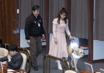 [포토] 김예지 의원과 새 안내견 ‘태백’ | 서울신문 [포토] 김예지 의원과 새 안내견 ‘태백’