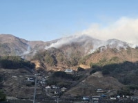서울신문 검색 서울신문