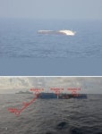 어진호 선원 8명 모두 건강 양호… 15일 오전 9시쯤 화순항 도착 예정 | 서울신문 어진호 선원 8명 모두 건강 양호… 15일 오전 9시쯤 화순항... 