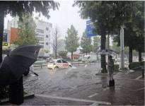 서울신문 검색 서울신문