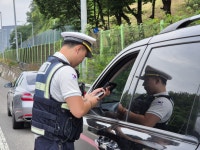 서울신문 검색 서울신문