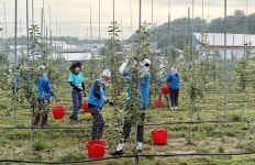 명지사랑봉사단, ‘2025학년도 하계 농촌 맞춤형 봉사활동’ 성료 | 서울신문 명지사랑봉사단, ‘2025학년도 하계 농촌 맞춤형 봉사활동’ 성료