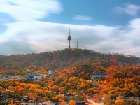 남산타워가 6위인데…서울 ‘대표 가을명소’ 타이틀 거머쥔 이곳 | 서울신문 남산타워가 6위인데…서울 ‘대표 가을명소’ 타이틀 거머쥔 이곳