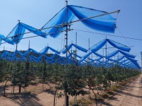 서울신문 검색 서울신문