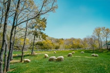 기업혁신파크·국가정원… ‘머무는 도시’ 꿈꾸는 거제 | 서울신문 기업혁신파크·국가정원… ‘머무는 도시’ 꿈꾸는 거제