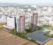 서울신문 검색 서울신문