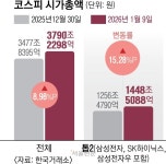 반도체주 불장, 나만 비켜 가나…개미들 ‘코스피 포모’에 불면증 | 서울신문 반도체주 불장, 나만 비켜 가나…개미들 ‘코스피 포모’에 불면증