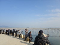 서울신문 검색 서울신문