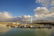 예술·전통 향기 가득… 생명이 기지개 켜는 ‘순백의 무안’ | 서울신문 예술·전통 향기 가득… 생명이 기지개 켜는 ‘순백의 무안’