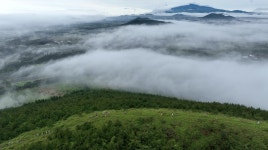 제주관광공사 - 기관정보 | 지원사업, 정책자금, R&D - THE VC