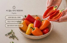 이마트, 편의성·취향 앞세워 그로서리 혁신 | 서울신문 이마트, 편의성·취향 앞세워 그로서리 혁신
