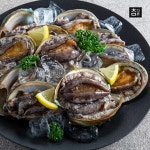 참다른 당일 해수 산소포장 완도 활 전복 14~16미 중 1kg [1개] - 에누리 가격비교