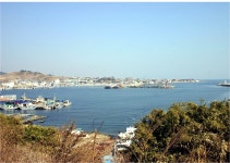 겨울의 맛 구룡포 과메기 | 식신 꾸덕꾸덕 말라가는 겨울의 맛, 구룡포 과메기 | 식신