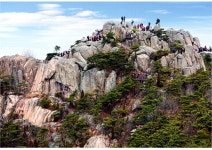 언젠가 만나요, 그곳에서 대전 충남 으뜸 관광지 | 식신 언젠가 만나요, 그 곳에서 | 대전 충남 으뜸 관광지 | 식신