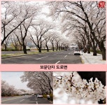 로맨틱한 계절, 경주에서 즐기자 | 식신