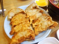 굽고! 찌고! 끓여도 맛난 만두 맛집 BEST 5 | 식신 굽고! 찌고! 끓여도 맛있는 만두 맛집 BEST 5 | 식신