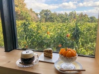 새콤달콤 감귤의 변신! 감귤 디저트 맛집 5곳 | 식신 새콤달콤 감귤의 변신! 제주 감귤 디저트 맛집 5곳  | 식신