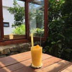 새콤달콤 감귤의 변신! 감귤 디저트 맛집 5곳 | 식신 새콤달콤 감귤의 변신! 제주 감귤 디저트 맛집 5곳  | 식신