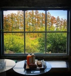 제주도 풍경 속에서 즐기는 제주 카페 BEST 5 | 식신 제주도 풍경 속에서 즐기는,  제주 카페 BEST 5 | 식신