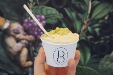 쫀득함이 살아있는, 신상 젤라또 맛집 BEST 5 | 식신
