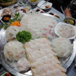 100년을 이어갈 싱싱함, 전국 횟집 BEST 5 | 식신
