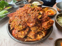 全国10月に旬の海の幸グルメBEST 5|ソッブジコジに,オンニョ貝焼きカンスェうなぎ焼き,ミカン狩り瀬,ヘマジ,만복식당 pick... 