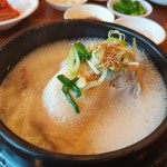 100년을 이어갈 미식, 전국 닭요리 맛집 5곳 | 식신