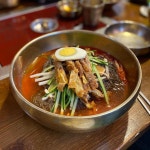 진주의 멋스러운 맛, 진주냉면 맛집 BEST 5|ハヨンオク,パクグンジャ、晋州(チンジュ)冷麺,再建冷麺,ハヨンオク(沙川点)... 