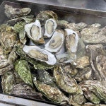 제철맞은 바다의 진미, 서울 겨울 해산물 맛집 5 | 식신 제철맞은 바다의 진미, 서울 겨울 해산물 맛집 5곳 | 식신