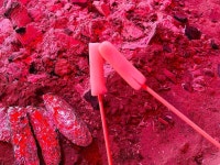 삼겹살과 찜질을 동시에? 찜질방 맛집 BEST5 | 식신