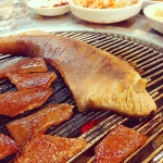 서대문원조통술집 - 서울 강북, 서대문 충정로 | 맛집검색 식신