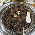 약산흑염소가든 - 전남, 화순군 | 맛집검색 식신
