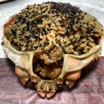 대영유통 - 강원, 강릉시 | 맛집검색 식신