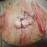 동방횟집 - 경남, 창원시 진해구, 이동 | 맛집검색 식신