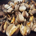 만복국수 - 서울, 강남구, 신사동 | 맛집검색 식신