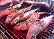 갯배 생선구이 - 강원, 속초시, 교동 | 맛집검색 식신 갯배 생선구이   - 강원, 속초시, 교동 | 맛집검색 식신