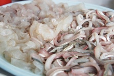 조은수산 - 경남, 창원-진해구 | 맛집검색 식신