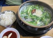 식신 : 대한민국 No.1 맛집