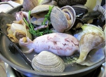 고성생선찜 - 충남, 아산시, 용화동 | 맛집검색 식신 고성생선찜  - 충남, 아산시, 용화동 | 맛집검색 식신