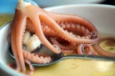 낙지한마당 - 충남, 서산시 | 맛집검색 식신