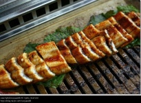 선운 풍천 장어 - 광주, 광산구, 운수동 | 맛집검색 식신