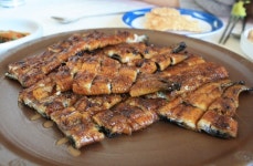 강나루뱀장어 - 전남, 무안 | 맛집검색 식신