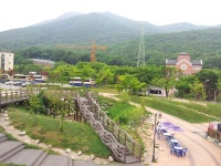 참고기 - 경기, 군포시 산본 당동 | 맛집검색 식신