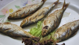 동명횟집 - 부산, 부산진구 서면 | 맛집검색 식신