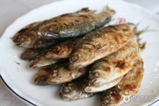 섬마을횟집 - 충남, 서천 | 맛집검색 식신