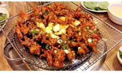 식신 : 대한민국 No.1 맛집