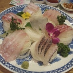 거제지심도 - 서울 강남, 삼성동 | 맛집검색 식신