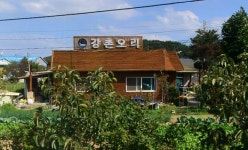 항구회타운 - 강원, 삼척 장호항 | 맛집검색 식신
