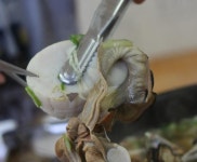 김가네황칠해신탕 - 전남, 장성군, 장성읍 | 맛집검색 식신